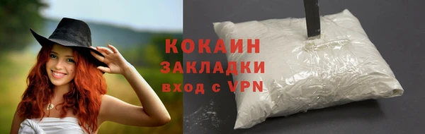 крисы Баксан
