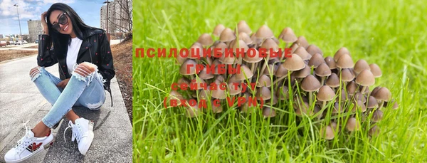 ALPHA PVP Арсеньев
