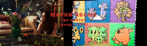 крисы Баксан