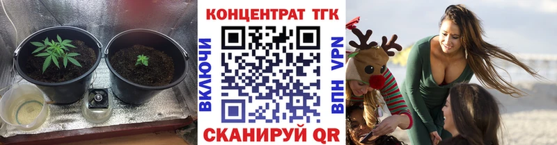 ТГК концентрат Зубцов