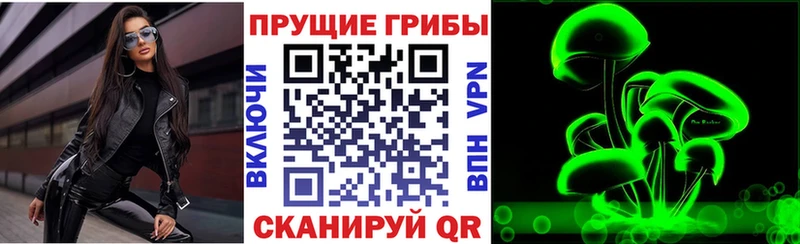 Псилоцибиновые грибы Magic Shrooms  где найти   Зубцов 